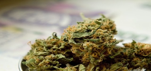 Cannabis sativa extracts demonstrate potential to in COVID-19 treatment